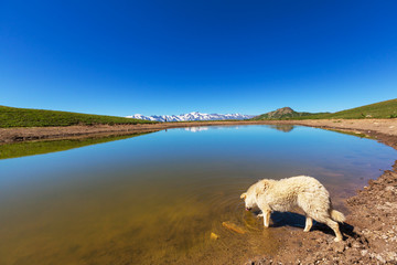 Fototapeta premium Lake in Caucasus