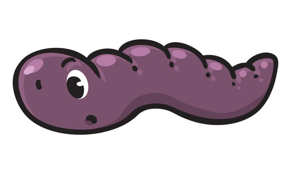 Funny crawling worm