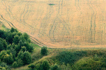 field view from above