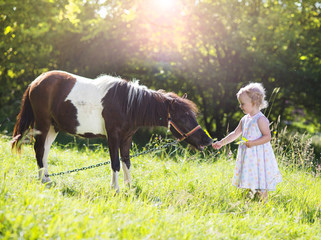 Little girl with pony in nature