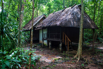 Fototapeta na wymiar Bungalow in a forest, Laos