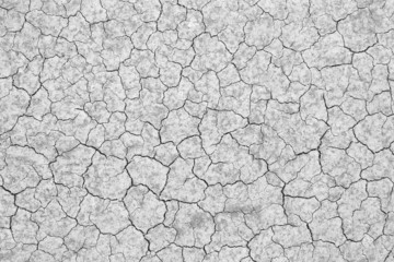 cracked soil