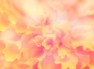 abstract flower background. flowers made with color filters