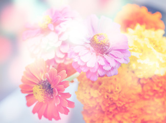 abstract flower background. flowers made with color filters