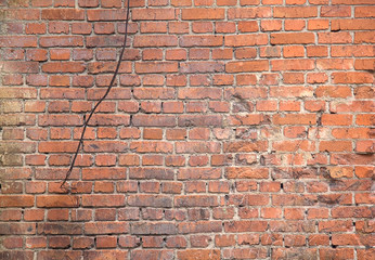 Naklejka premium Background of brick wall texture