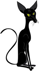 espèce de chat noir oriental