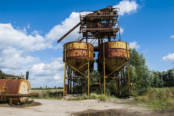 Abandoned Plant
