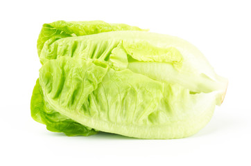 Fresh lettuce (baby cos)