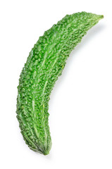 Bitter melon