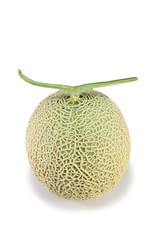 Musk Melon