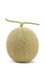 Musk Melon