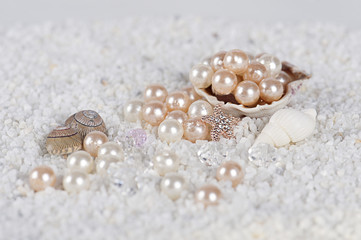 recog shell on white sand - 68726976