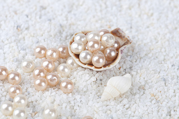 pearls in the sea shell on the sand