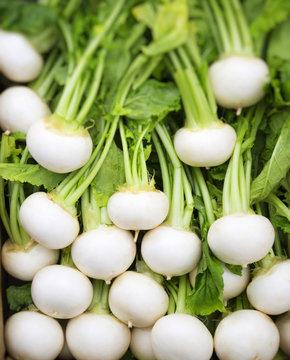 White turnip.radish.Daikon. vegetables in Japan.