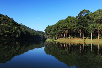 Obraz premium The Lake