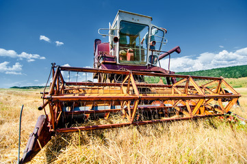 Crop harvesting at th field with professional harverster