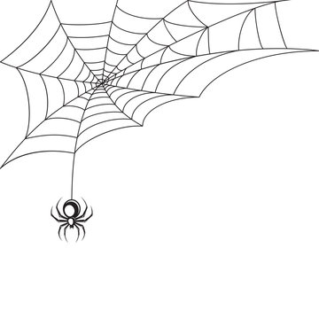Spider web wallpaper