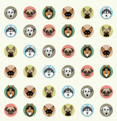 wallpaper with pets of different breeds
