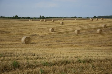 Haystacks in a field