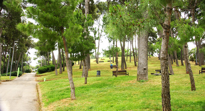 Parque infantil en la monta&ntilde;a del Tur&oacute; de la Peira, Barcelona