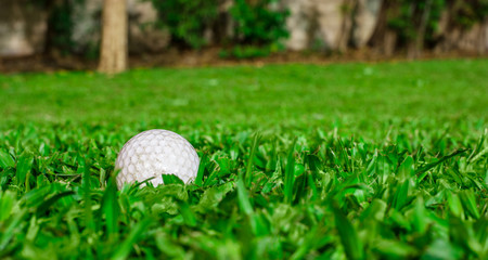 golf ball on grass