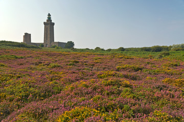 Fototapeta na wymiar Colorful field of purple and yellow flowers with lighthouse in t