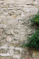 Steinmauer