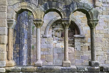 Photo sur Plexiglas Rudnes Ruines de l& 39 abbaye