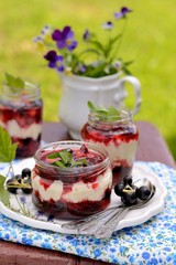 natural yogurt with fresh berries in a bowl