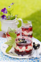 natural yogurt with fresh berries in a bowl