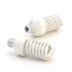 Two energy saving bulbs composition