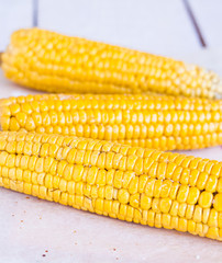 hot corn on the cob on a white background