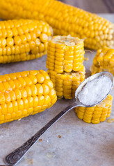 warm corn on the cob, sliced, teaspoon of salt