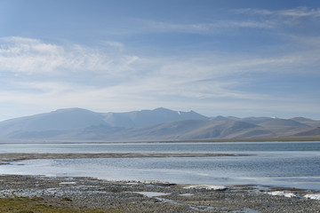 Coast of mountain lake