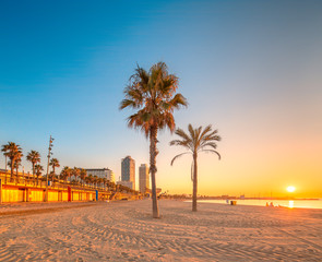Barceloneta Beach in Barcelona at sunrise - obrazy, fototapety, plakaty