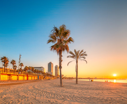 Fototapeta Barceloneta Beach in Barcelona at sunrise