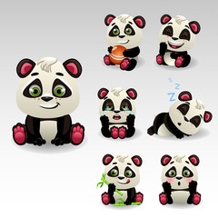 cartoon panda