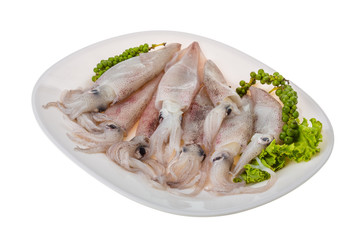 Raw calamari