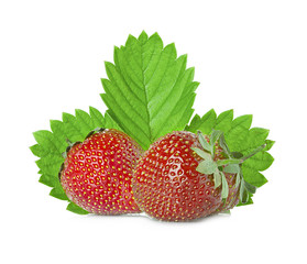 Strawberries with leaves. Isolated on a white background.