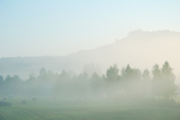 Foggy morning rural landscape with field, trees and distant hill