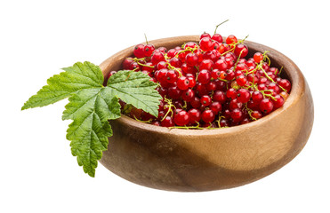 Red currant