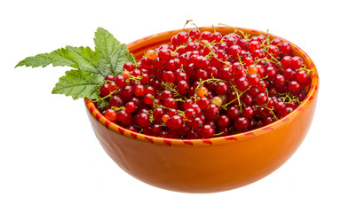 Red currant
