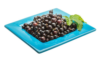 Black currant