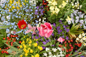 Blumenbeet