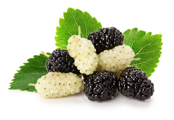 black and white mulberry isolated on the white background