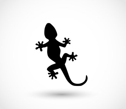 Lizard icon vector