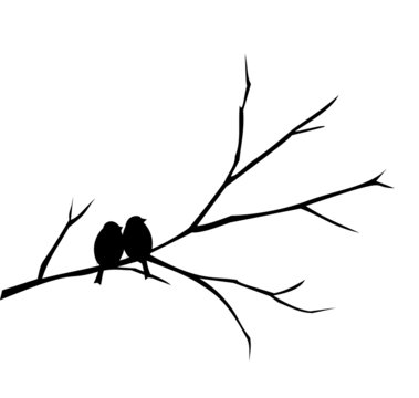 Two birds sitting on a branch vector