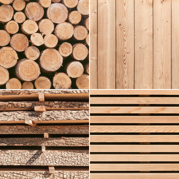 Holz, Verarbeitung, vielseitiger Baustoff, Rohstoffe