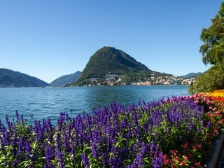 Monte San Salvatore seen from the park