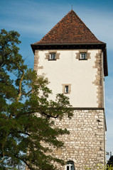 Fototapeta na wymiar Nessel tower, in Mulhouse - Alsace - France